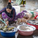 Fish Market - Hoi An - Vietnam