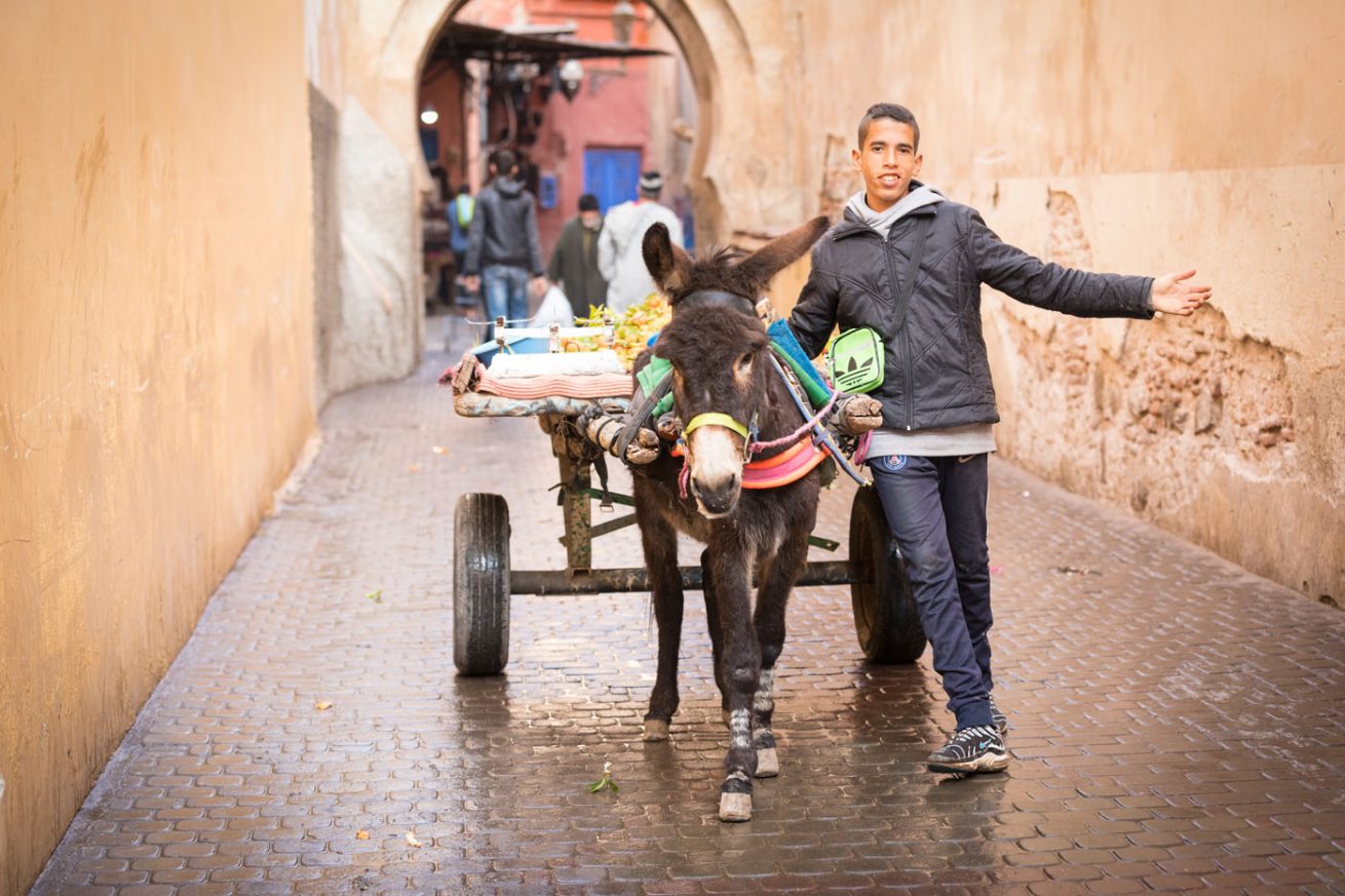Donkey Boy - Marrakech