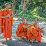 Hi-Tech Monks